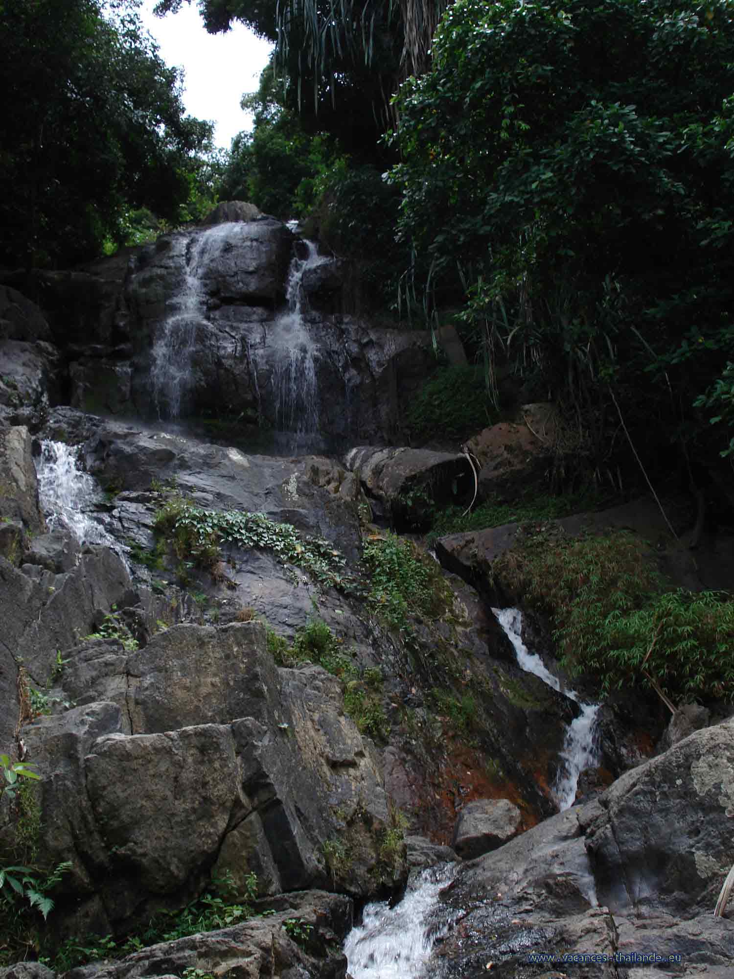 photo 20  forÃªt de cocotier et visite des cascades environantes sur Koh Samui en ThaÃ¯lande.